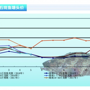 ʯ���~�����~�c��N�r���R��������ˮ�aǰ�ء�2017��6�¿��Ј�څ��