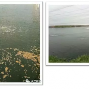 �����y�B(y��ng)�r�^(q��)��50������Ҏ(gu��)��Ȼ�_(d��)��68�^/��