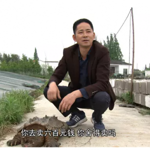 ���M�����D���B(y��ng)���޵�ˮ���rٍ����ǧ�fؔ