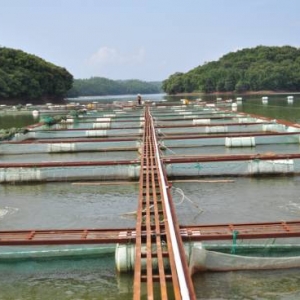 �������g4-7Ԫ/����һ���W��ٍ1�f�K�X���@�l�~�ѽ����Bֳ�����Ķ�����