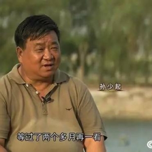 �B(y��ng)ɵ�~�l(f��)ţؔ(c��i) ���÷���֮�e��(chu��ng)�|�fؔ(c��i)��