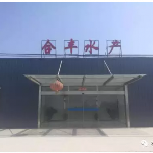 ��|���S���B(y��ng)�r�����Пo�E�[��