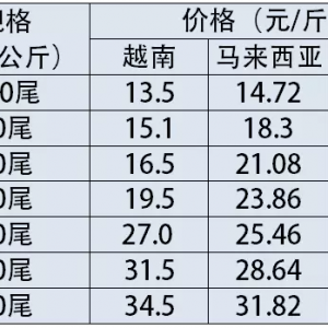 2017��6��23��Խ��/�R������/ӡ�Ȳ��r�Ͱ׌��r�r������