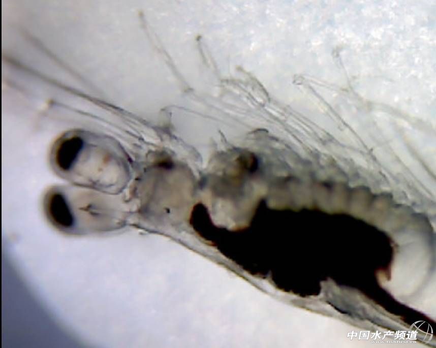 �rԽ��Խ�y�B(y��ng)������?y��n)��r������K���c(di��n)Խ��Խ��ľ��ʆ᣿����ԭ���ǡ�