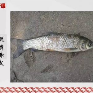  �n�Pӛ | ���g���~���m��������Ҫԭ��Ԕ�⼰�ί�����