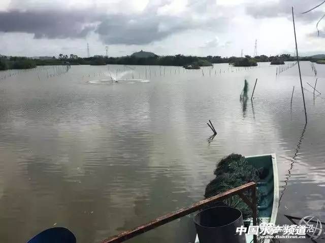 ��������β��һ�B(y��ng)ֳ�������¶������r�M�����װ��fͶ�뚧��һ��