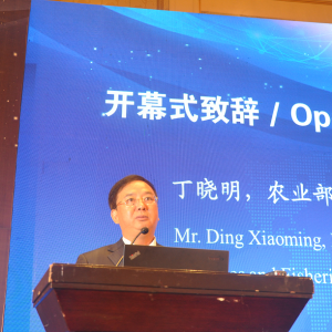 ���������Ї�ˮ�a�Bֳ�I��׃�﷽�������B���ȡ��Gɫ�lչ