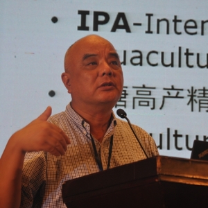 ������IPA�^���y�����Bֳ��߮a��3�����߮a���������h���Ѻ�