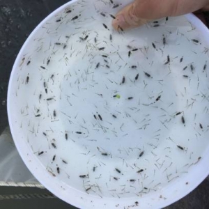 �^�m���q���V�|���~7����Ѯ�AӋ�_38Ԫ/�6��29��ȫ�����~��Ҫ�Bֳ�^������r