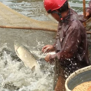 ���~�r�����|��y�q�ˣ��AӋ���Ќ�С���µ� | 6��29��ȫ�������~���a�^�������