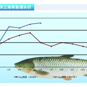 ���~��7�������Է����Խ���S�֬F�����������ˮ�aǰ�ء�2017��7�¿��Ј�څ��