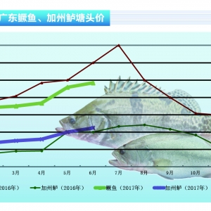 �����|���������� ���п��q������ˮ�aǰ�ء�2017��7�¿��Ј�څ��