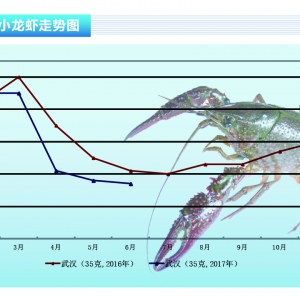 С���r������������ �A�y7�r���Ԍ�΢�q������ˮ�aǰ�ء�2017��7�¿��Ј�څ��