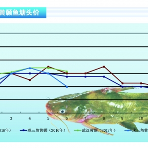 �S��~���A(y��)Ӌ(j��)7�r(ji��)��S��(w��n)��(w��n)���Խ�������ˮ�a(ch��n)ǰ�ء�2017��7�¿��Ј�(ch��ng)څ��(sh��)