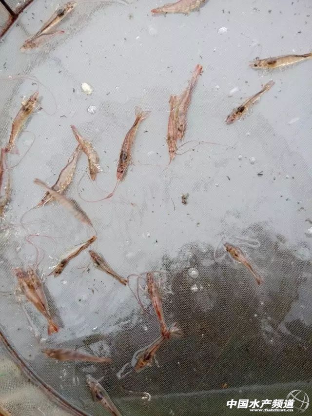 һ���x�������׌��r���ϳ�Ҋ��ɫ���c��