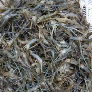 ����B�ô������r����X������Ҫ�����������c