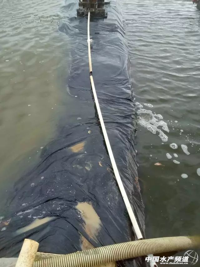 ���ꌢ�V�����r�Bֳ����^���������r����ǰ���С����̡�