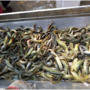 �Ј�˲Ϣ�f׃������r�g����q�B(y��ng)ֳ����ٍ20���f