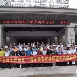 �ּ��˴�+������Bֳģʽ�����ĳɹ�������