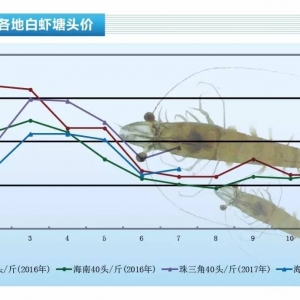 ���r�Ј������ٽ�1-5Ԫ/��Ϸ��sӭ��q�r��