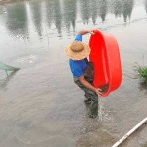 �����з���鲻����������α�����߃r