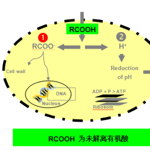 ��Ͽ����؏����������Ʒ���������Ó�f������