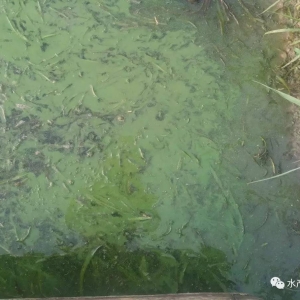 ����������Ч���@��з��̎���{��ķ����m����