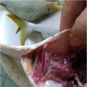 �ɹ��ʵͣ�߀��Ҏ(gu��)ģ���~�����Ё������K���Y��С���x����������������@���ȳ�Ҋ������ ...