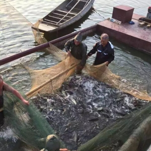 2017��7��19�ղ��~�r(ji��)�����顪��������΢�q0.1-0.2Ԫ/��A�БK��1Ԫ/��