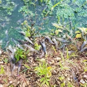 5000����_�����r������Ϣ�������Bֳ�����������������ǣ�