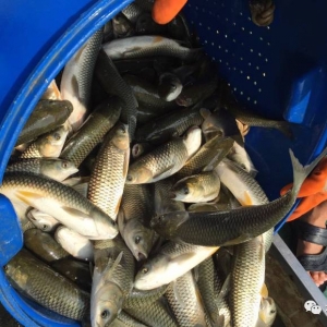 2017��7��26��ȫ��(gu��)��Ҫ�a(ch��n)�^(q��)���~�r(ji��)���������