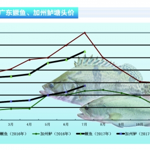 �����|���������� �V�|�����������~���С�����ˮ�aǰ�ء�2017��8�¿��Ј�څ��