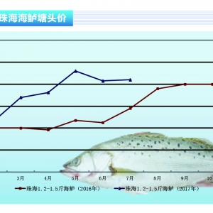 ���|�����~δ�������� 8�r�����в��ӡ�����ˮ�aǰ�ء�2017��8�¿��Ј�څ��