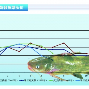 �S��~��7�³��~�������� �r(ji��)����䡪����ˮ�a(ch��n)ǰ�ء�2017��8�¿��Ј�(ch��ng)څ��(sh��)