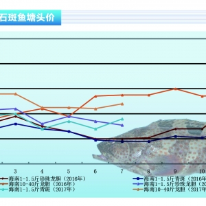 ʯ���~���Ј�����ƽ��  ���~�r��С�����䡪����ˮ�aǰ�ء�2017��8�¿��Ј�څ��