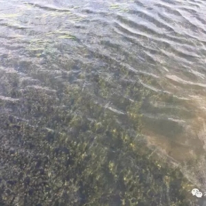 8�º�з�����ڣ������5�������ʣ���ռ�Ј��߃r���@�У�