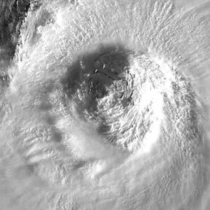 ���W¹�����ܳɞ�2017���ׂ�(g��)����(qi��ng)�_(t��i)�L(f��ng)������ʷ��Ʉ�(chu��ng)��ӛ�