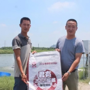 ����T�B���~�N��13�����H40��ٍ��6�f�K