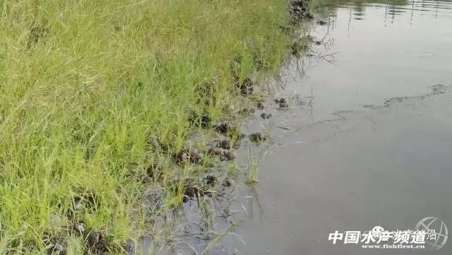 �ߜ�����ȱ������з�ϰ��ϲ�����ʳ����ô�k���@4��(g��)�P(gu��n)�I�c(di��n)��Ҫץס��