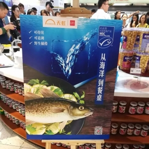 Ole����硢��������������ɳ��m���a���M�ᳱ��