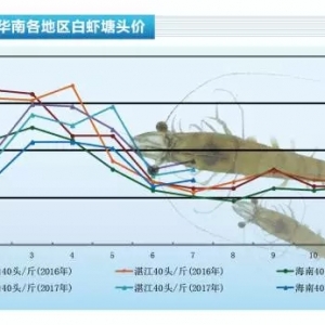 ���ױ㡱����Ѹ�����ӣ��r�r�ܴ���K�µ�5Ԫ/�ɽ�|�ӱ��r���������п��^��2017�� ...