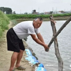 �B�r���Y��혿���B�m����30����100���f�ļ�����