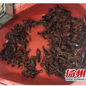 �P�ݵخa���r��ǰ�M��β�� �r�߱�ȥ�귭һ��