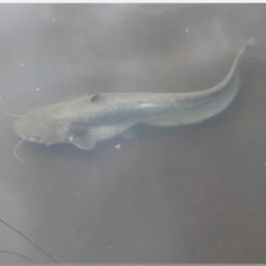 �����~��Mʳ���c��΢���B(t��i)�h(hu��n)����׃��