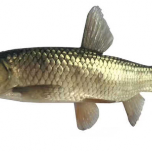 �������}���܌��~נ��ٙC�ܴ��ڝ���Σ��