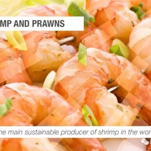 ͬ�ڳ������������ٷ��϶�϶ࠖ�r����V���Ї��Ј��ж���Ҫ | ֱ���Ϻ��O����