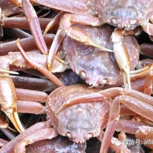 ѩз�r���߸������ô��{���������~��ʥ�ڂ�˹���a��������