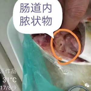 ���º���K�~���и߷壬�~�r�����Ƴɱ�������2017��8�½��K�~�Ј����