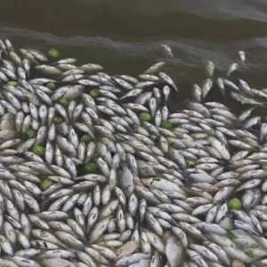 �~��ͣ�50��С�r���_�L���麣�~��ȱ��ȫ��漱!