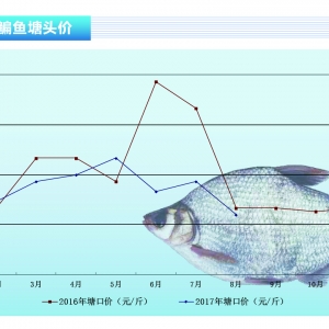 ���~���K�����~��ˮ�~��m(x��)���У��ɽ���һ�㡪����ˮ�a(ch��n)ǰ�ء�2017��9�¿��Ј�څ��